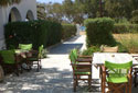 Sifnos Kafenés - The yard